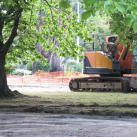 04. Digging it all up. Cambridge Tree Trust